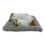 Big Sleeping Cat with Sound - 29*23cm - Pack of 4